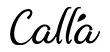 Calla Chiffon Ballet Skirt Sasha